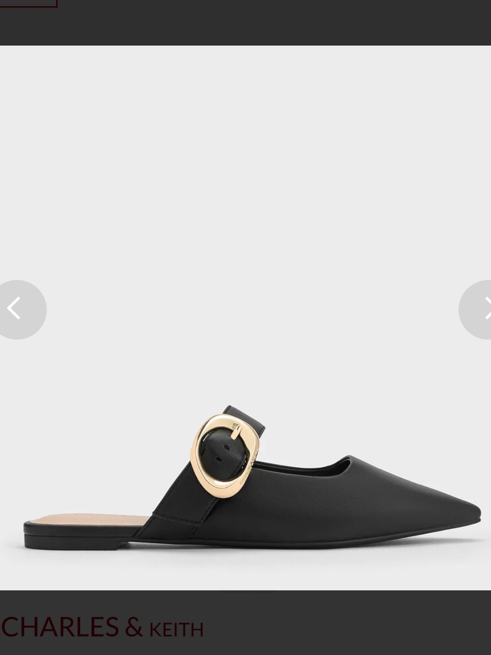 Charles & Keith Buckle-strap Flat Mules - Picture 3 of 8